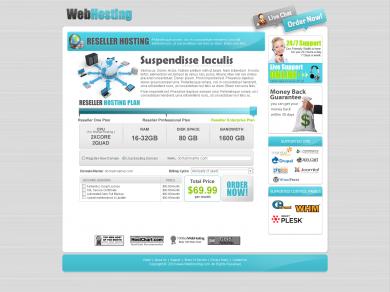 Reseller Hosting